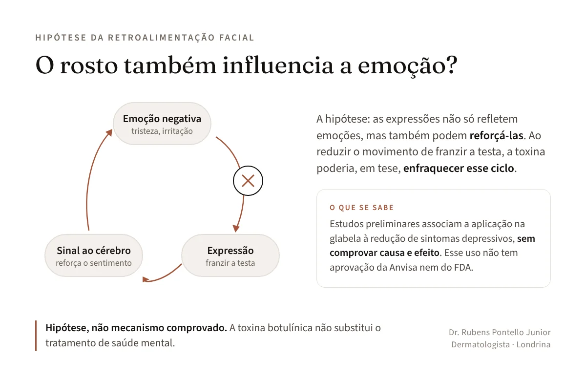 Diagrama do ciclo da hipótese da retroalimentação facial: emoção negativa, expressão de franzir a testa e sinal ao cérebro que reforça o sentimento, com a toxina botulínica interrompendo a expressão; hipótese ainda não comprovada